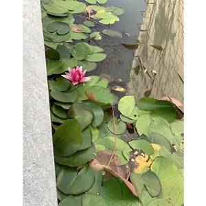 廠房展示
